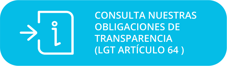 Consulta obligaciones